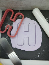 Load image into Gallery viewer, epi6