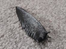 Load image into Gallery viewer, Slug Geocache Container Black Brown Glow in the Dark