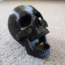 Load image into Gallery viewer, Human Skull Model Moving Jaw Bones 3d Printed Pick Your Colour
