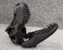 Load image into Gallery viewer, T-Rex Dinosaur Skull Model Moving Jaw Bones 3d Printed Pick Your Colour