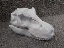 Load image into Gallery viewer, T-Rex Dinosaur Skull Model Moving Jaw Bones 3d Printed Pick Your Colour
