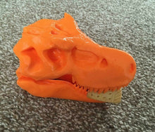 Load image into Gallery viewer, T-Rex Dinosaur Skull Model Moving Jaw Bones 3d Printed Pick Your Colour
