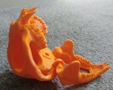 Load image into Gallery viewer, Cat Skull with Teeth Model Moving Jaw Bones 3d Printed Pick Your Colour