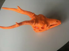 Load image into Gallery viewer, Roe Deer Skull Model Moving Jaw Bones 3d Printed Pick Your Colour