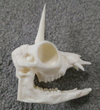Load image into Gallery viewer, Unicorn Skull Model Moving Jaw Bones 3d Printed Pick Your Colour