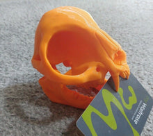 Load image into Gallery viewer, Cat Skull with Teeth Model Moving Jaw Bones 3d Printed Pick Your Colour