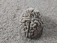 Load image into Gallery viewer, Brain Shaped Plectrum Holder Pleck Pluck Stand Choose Your Colour