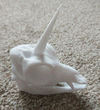 Load image into Gallery viewer, Unicorn Skull Model Moving Jaw Bones 3d Printed Pick Your Colour
