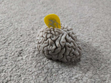 Load image into Gallery viewer, Brain Shaped Plectrum Holder Pleck Pluck Stand Choose Your Colour