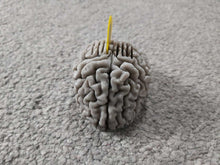 Load image into Gallery viewer, Brain Shaped Plectrum Holder Pleck Pluck Stand Choose Your Colour