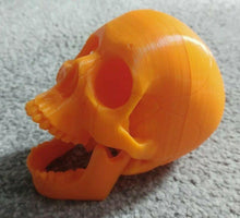Load image into Gallery viewer, Human Skull Model Moving Jaw Bones 3d Printed Pick Your Colour