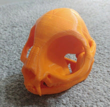 Load image into Gallery viewer, Cat Skull with Teeth Model Moving Jaw Bones 3d Printed Pick Your Colour