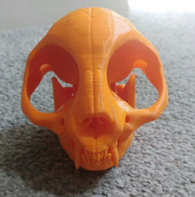 Load image into Gallery viewer, Cat Skull with Teeth Model Moving Jaw Bones 3d Printed Pick Your Colour