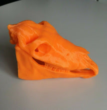 Load image into Gallery viewer, Horse Skull Animal Model Moving Jaw Bones 3d Printed Pick Your Colour