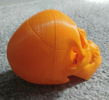 Load image into Gallery viewer, Human Skull Model Moving Jaw Bones 3d Printed Pick Your Colour