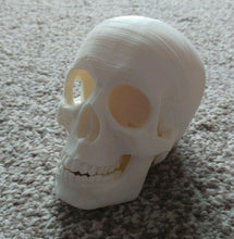 Load image into Gallery viewer, Human Skull Model Moving Jaw Bones 3d Printed Pick Your Colour