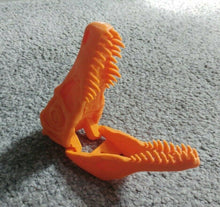 Load image into Gallery viewer, Velociraptor Dinosaur Skull Model Moving Jaw Bones 3d Printed Pick Your Colour