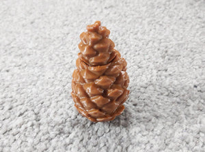 Pine Cone Geocache Hang Container for Tree Hide Top Opening Pinecones