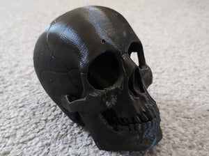 Human Skull Model Moving Jaw Bones 3d Printed Pick Your Colour