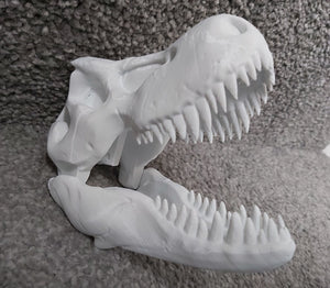 T-Rex Dinosaur Skull Model Moving Jaw Bones 3d Printed Pick Your Colour