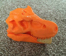 Load image into Gallery viewer, T-Rex Dinosaur Skull Model Moving Jaw Bones 3d Printed Pick Your Colour
