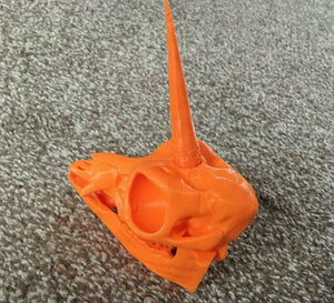 Unicorn Skull Model Moving Jaw Bones 3d Printed Pick Your Colour