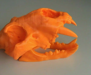 Lion Skull Animal Model Moving Jaw Bones 3d Printed Pick Your Colour