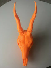 Load image into Gallery viewer, Roe Deer Skull Model Moving Jaw Bones 3d Printed Pick Your Colour
