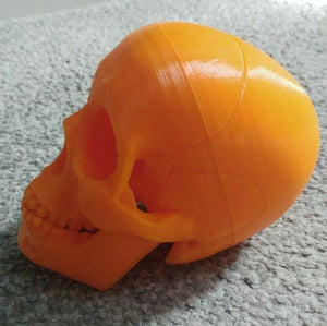 Human Skull Model Moving Jaw Bones 3d Printed Pick Your Colour