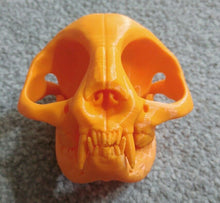 Load image into Gallery viewer, Cat Skull with Teeth Model Moving Jaw Bones 3d Printed Pick Your Colour
