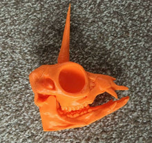 Load image into Gallery viewer, Unicorn Skull Model Moving Jaw Bones 3d Printed Pick Your Colour
