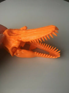 Killer Whale Skull Model Moving Jaw Bones 3d Printed Pick Your Colour