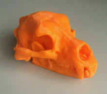 Load image into Gallery viewer, Kodiak Bear Skull Animal Model Moving Jaw Bones 3d Printed Pick Your Colour
