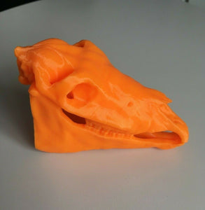 Horse Skull Animal Model Moving Jaw Bones 3d Printed Pick Your Colour