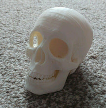 Load image into Gallery viewer, Human Skull Model Moving Jaw Bones 3d Printed Pick Your Colour
