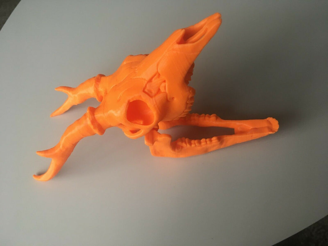 Roe Deer Skull Model Moving Jaw Bones 3d Printed Pick Your Colour