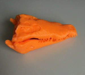 Crocodile Skull Animal Model Moving Jaw Bones 3d Printed Pick Your Colour