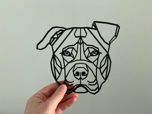 Geometric Pitbull 